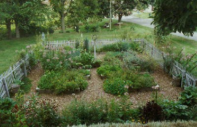 Herb garden cropped